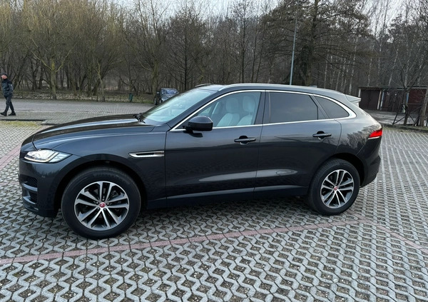 Jaguar F-Pace cena 125500 przebieg: 81000, rok produkcji 2017 z Jawor małe 562